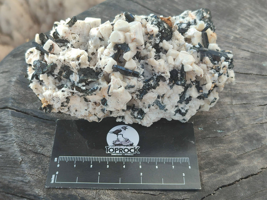 Natural Schorl Black Tourmaline Specimens x 2 From Erongo, Namibia - Toprock Gemstones and Minerals 
