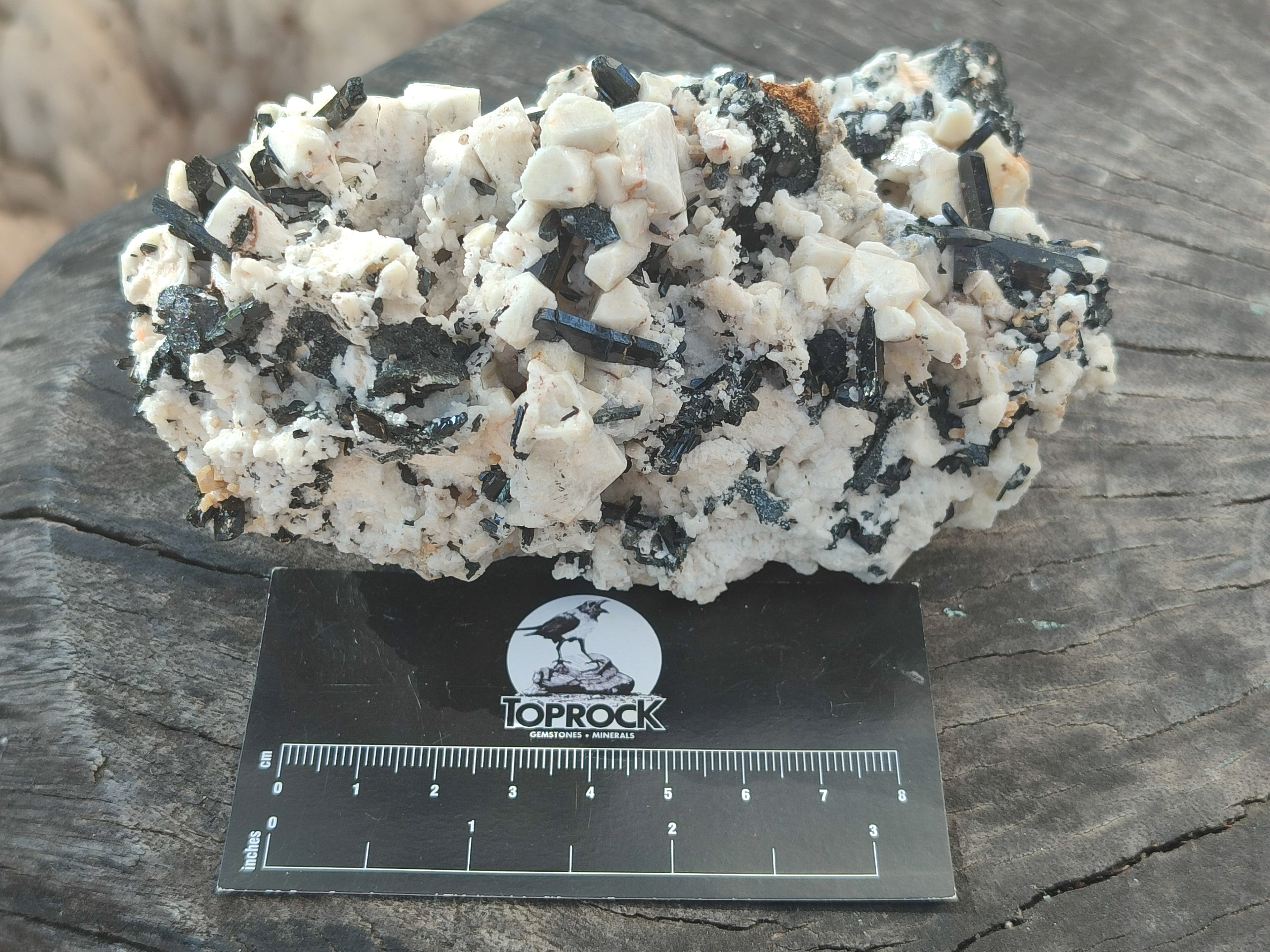 Natural Schorl Black Tourmaline Specimens x 2 From Erongo, Namibia - Toprock Gemstones and Minerals 
