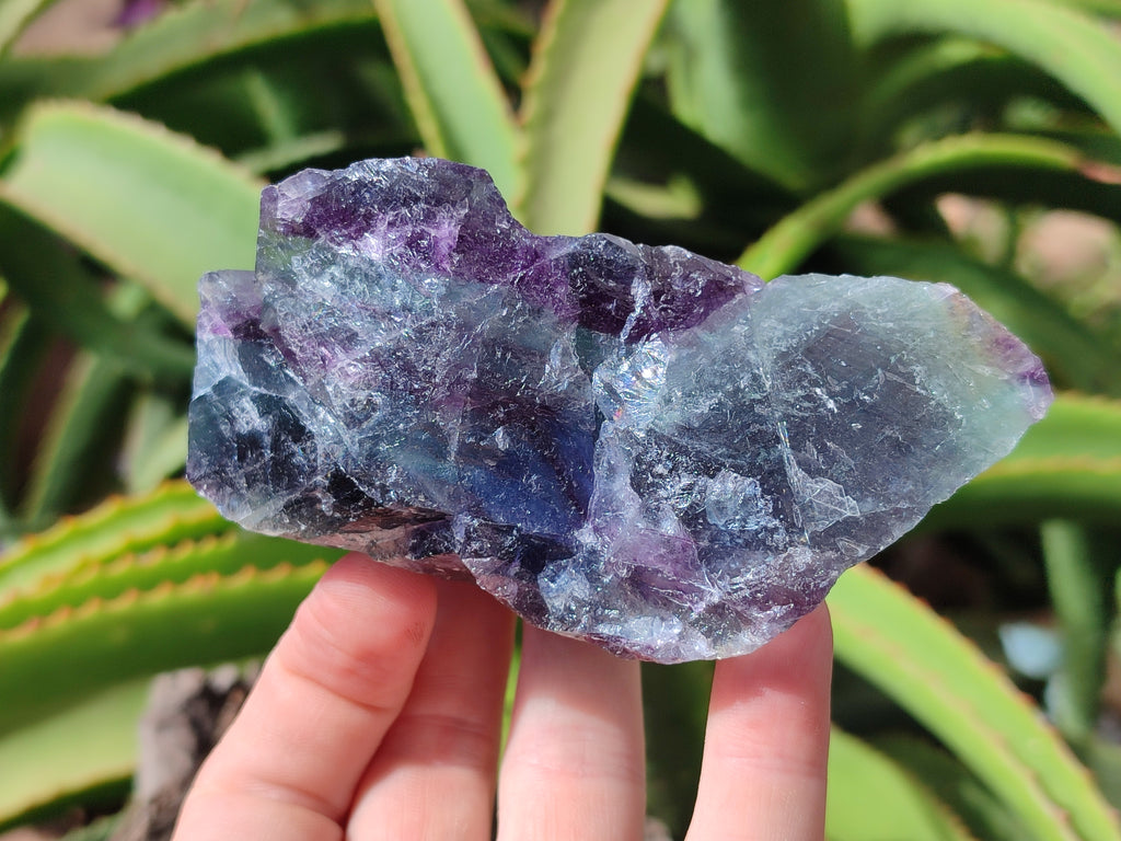Natural Watermelon Fluorite Cobbed Specimens x 12 From Uis, Namibia - Toprock Gemstones and Minerals 