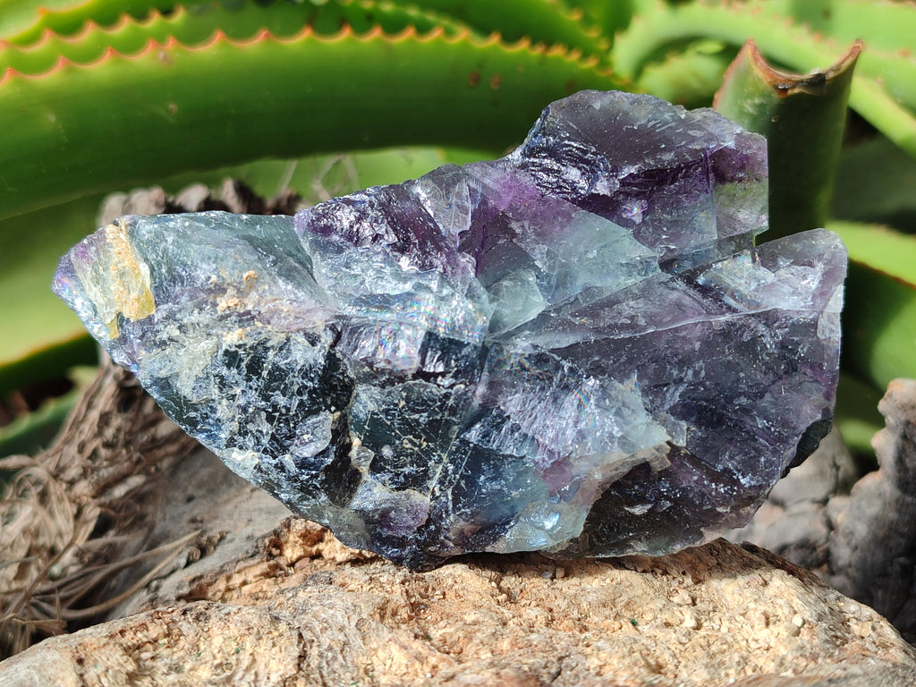 Natural Watermelon Fluorite Cobbed Specimens x 12 From Uis, Namibia - Toprock Gemstones and Minerals 
