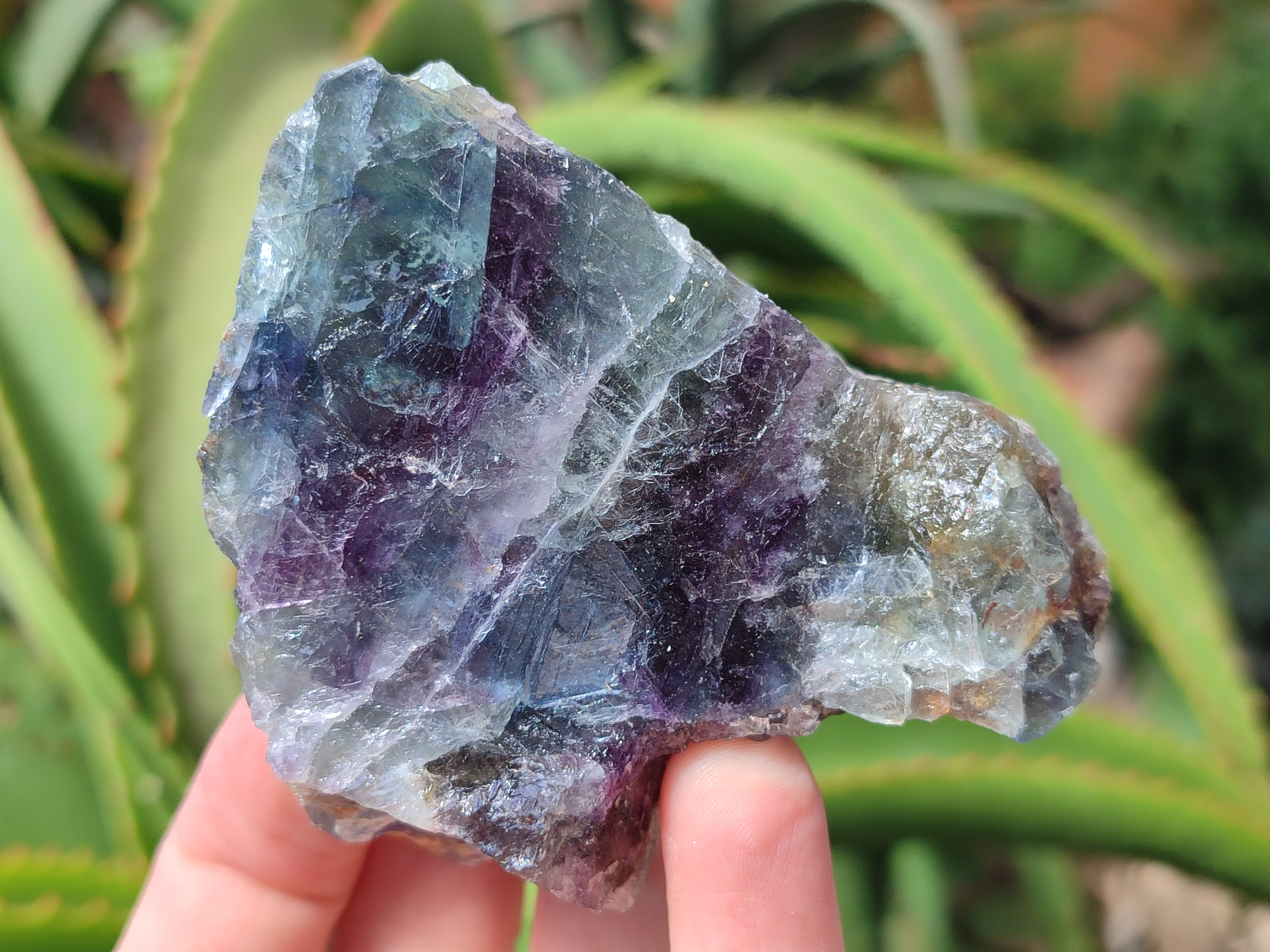 Natural Watermelon Fluorite Cobbed Specimens x 12 From Uis, Namibia - Toprock Gemstones and Minerals 