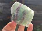 Natural Watermelon Fluorite Cobbed Specimens x 12 From Uis, Namibia - Toprock Gemstones and Minerals 