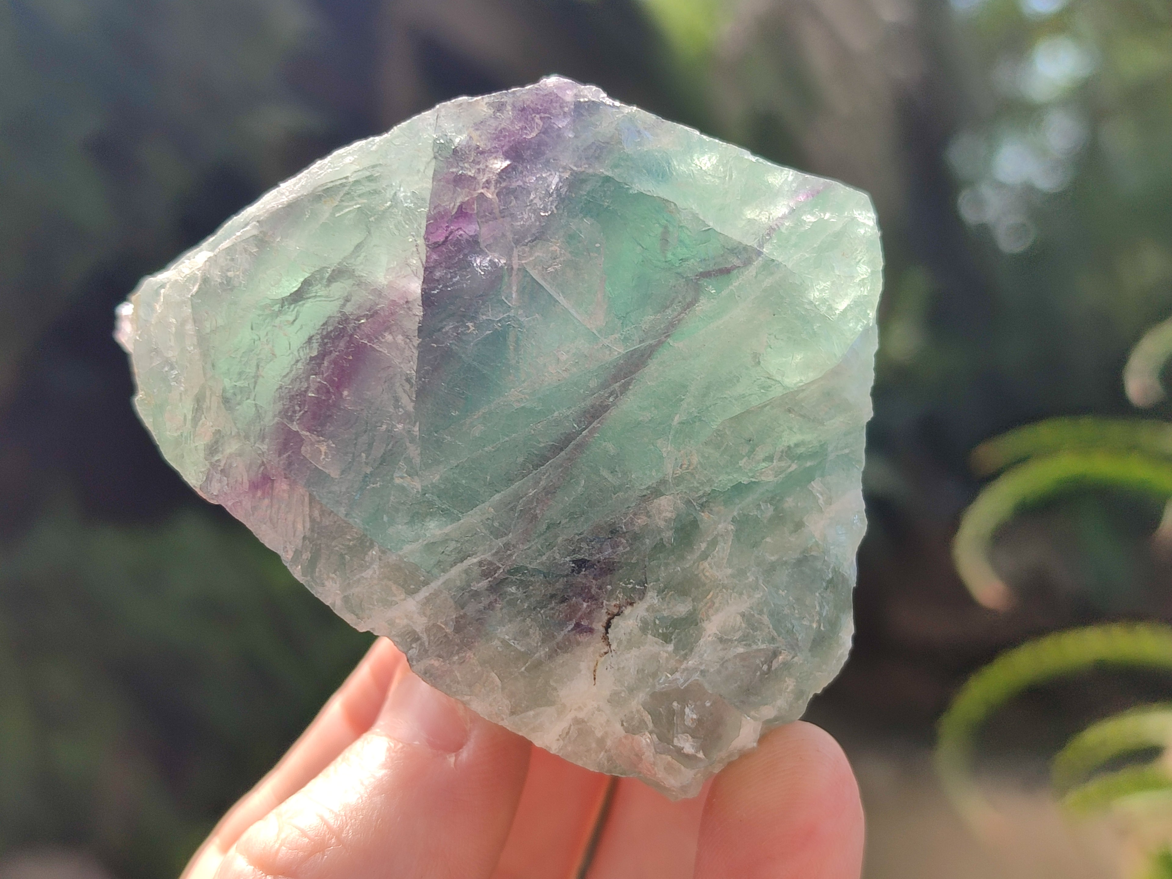 Natural Watermelon Fluorite Cobbed Specimens x 12 From Uis, Namibia - Toprock Gemstones and Minerals 
