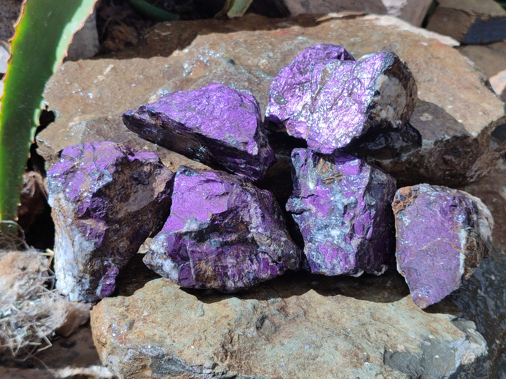 Natural Metallic Purpurite Cobbed Specimens x 6 From Erongo, Namibia - Toprock Gemstones and Minerals 
