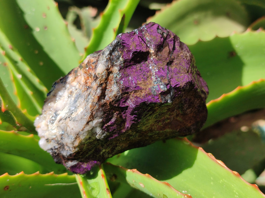 Natural Metallic Purpurite Cobbed Specimens x 6 From Erongo, Namibia - Toprock Gemstones and Minerals 