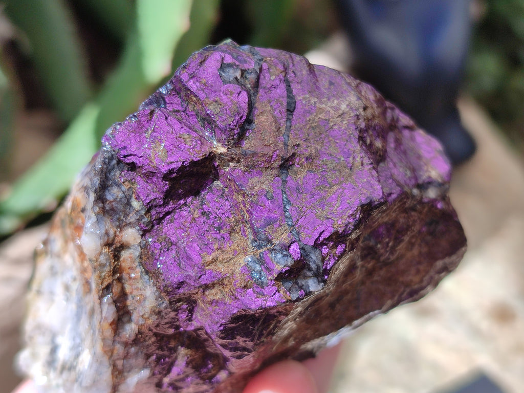 Natural Metallic Purpurite Cobbed Specimens x 6 From Erongo, Namibia - Toprock Gemstones and Minerals 