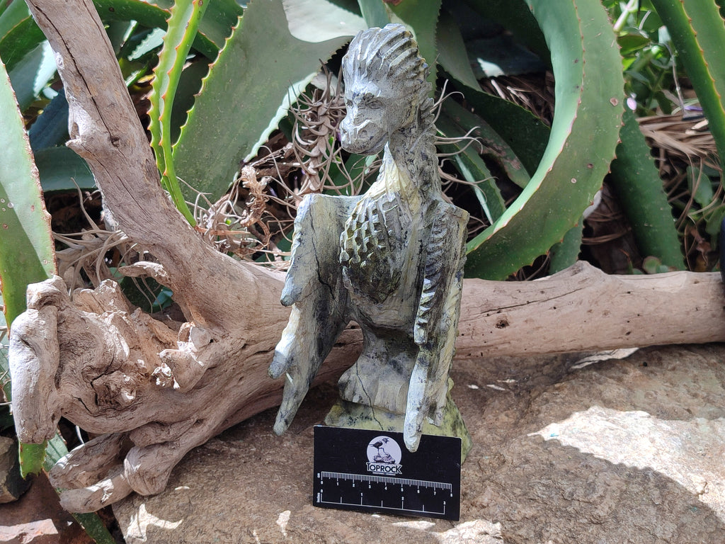 Polished Leopard Stone Dragon Carving x 1 From Zimbabwe - Toprock Gemstones and Minerals 