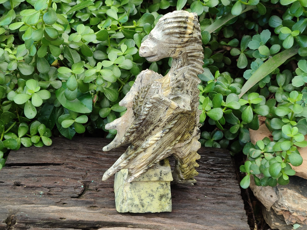 Polished Leopard Stone Dragon Carving x 1 From Zimbabwe - Toprock Gemstones and Minerals 