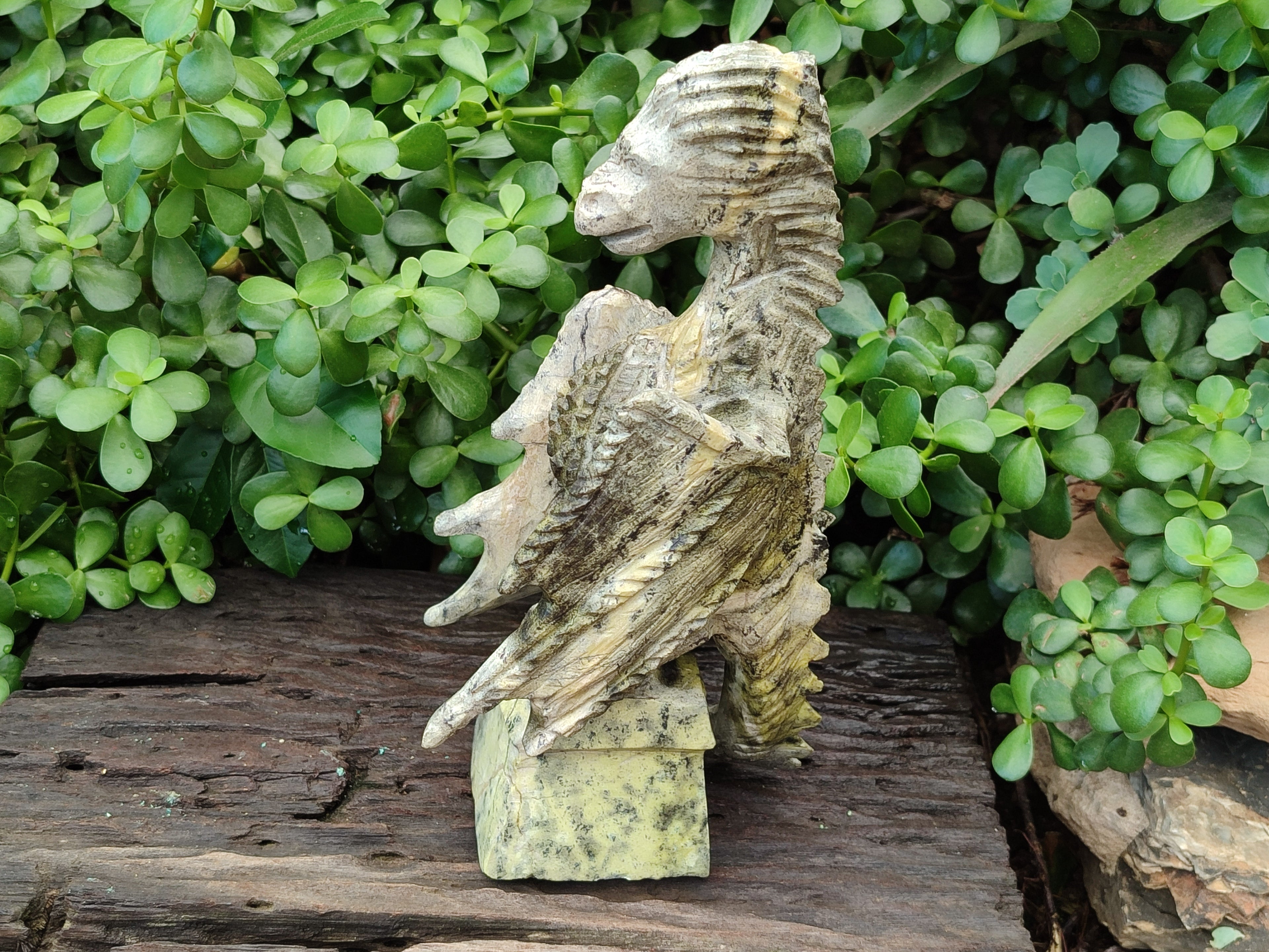 Polished Leopard Stone Dragon Carving x 1 From Zimbabwe - Toprock Gemstones and Minerals 