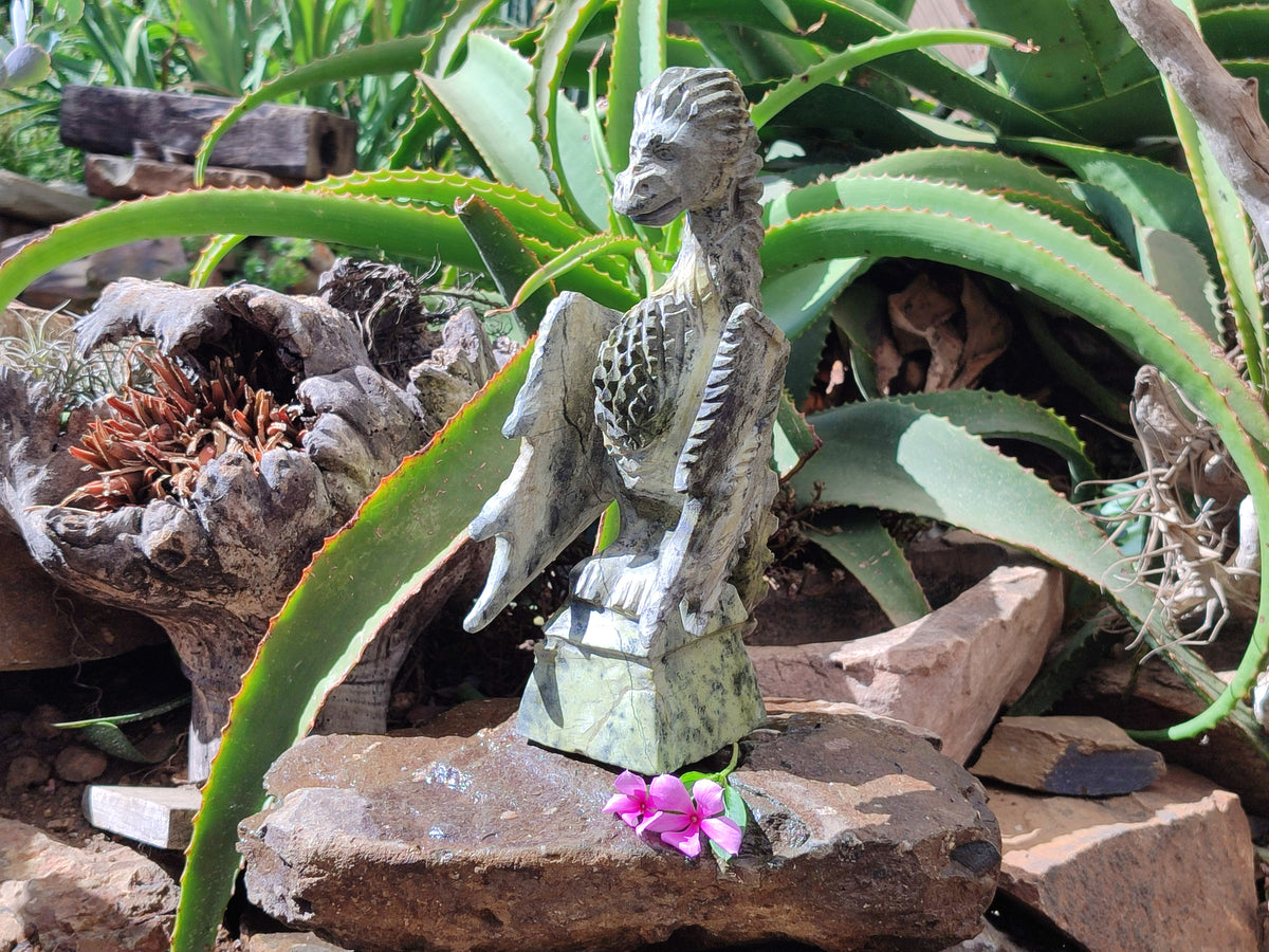 Polished Leopard Stone Dragon Carving x 1 From Zimbabwe - Toprock Gemstones and Minerals 