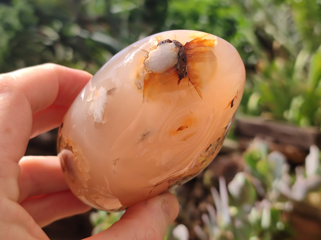 Polished Flower Agate Standing Free Forms x 3 From Antsahalova, Madagascar - Toprock Gemstones and Minerals 
