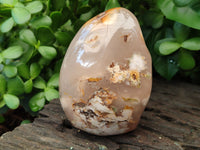 Polished Flower Agate Standing Free Forms x 3 From Antsahalova, Madagascar - Toprock Gemstones and Minerals 