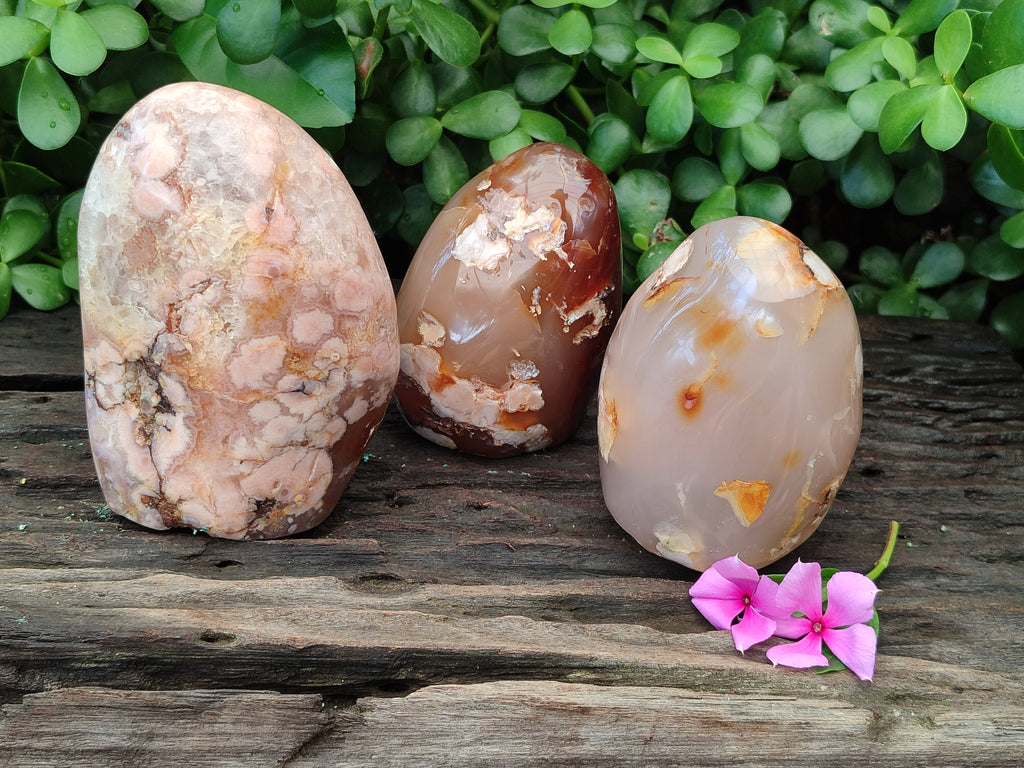 Polished Flower Agate Standing Free Forms x 3 From Antsahalova, Madagascar - Toprock Gemstones and Minerals 