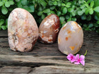 Polished Flower Agate Standing Free Forms x 3 From Antsahalova, Madagascar - Toprock Gemstones and Minerals 