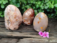 Polished Flower Agate Standing Free Forms x 3 From Antsahalova, Madagascar - Toprock Gemstones and Minerals 