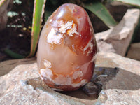 Polished Flower Agate Standing Free Forms x 3 From Antsahalova, Madagascar - Toprock Gemstones and Minerals 
