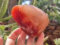 Polished Flower Agate Standing Free Forms x 3 From Antsahalova, Madagascar - Toprock Gemstones and Minerals 