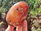 Polished Flower Agate Standing Free Forms x 3 From Antsahalova, Madagascar - Toprock Gemstones and Minerals 