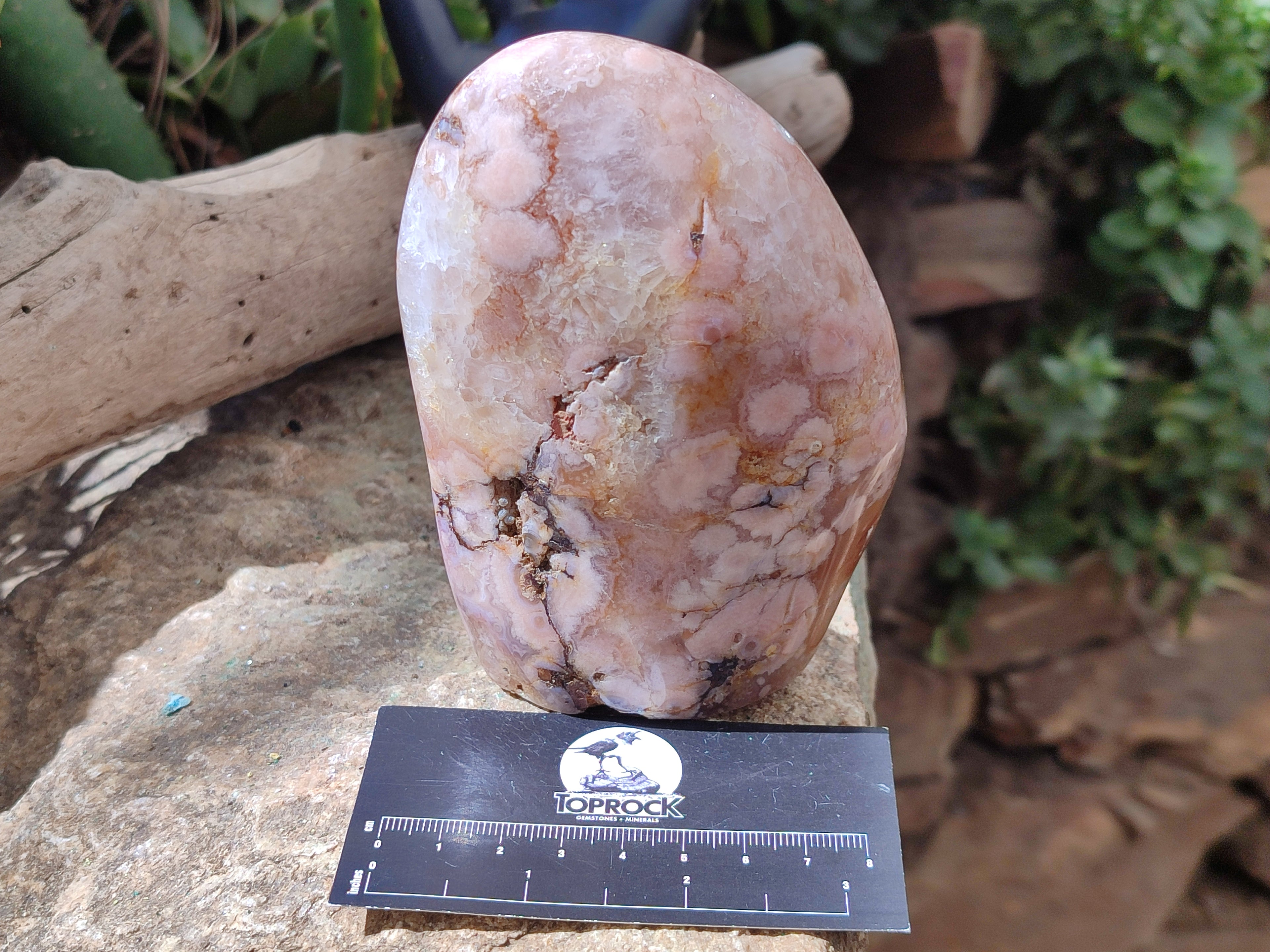 Polished Flower Agate Standing Free Forms x 3 From Antsahalova, Madagascar - Toprock Gemstones and Minerals 