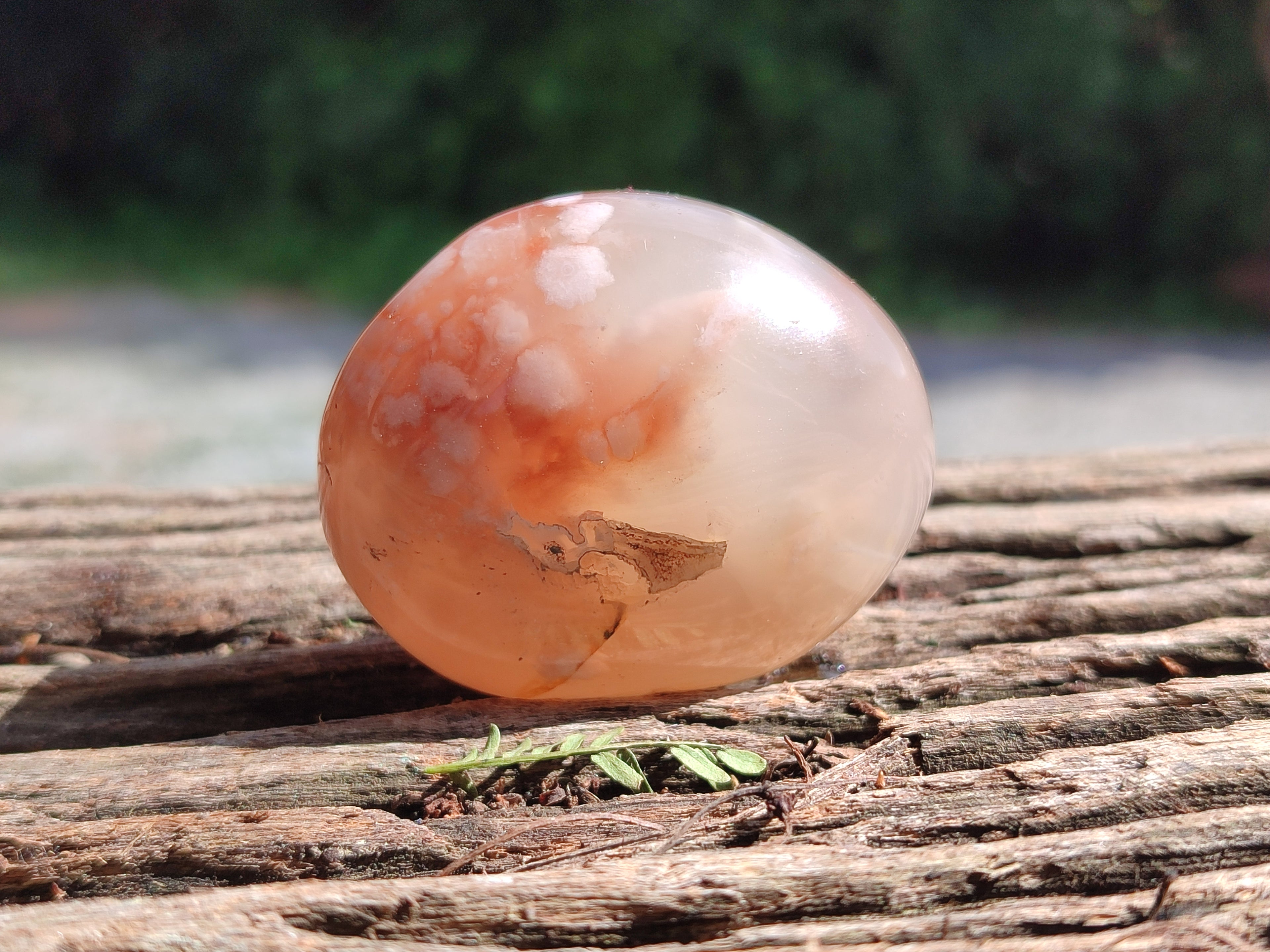 Polished Flower Agate Galet-Palm Stones x 24 From Antsahalova, Madagascar - Toprock Gemstones and Minerals 