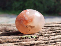 Polished Flower Agate Galet-Palm Stones x 24 From Antsahalova, Madagascar - Toprock Gemstones and Minerals 