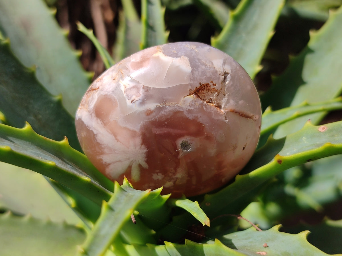 Polished Flower Agate Galet-Palm Stones x 24 From Antsahalova, Madagascar - Toprock Gemstones and Minerals 