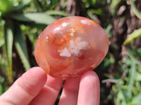 Polished Flower Agate Galet-Palm Stones x 24 From Antsahalova, Madagascar - Toprock Gemstones and Minerals 