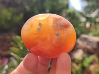 Polished Flower Agate Galet-Palm Stones x 24 From Antsahalova, Madagascar - Toprock Gemstones and Minerals 