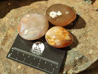 Polished Flower Agate Galet-Palm Stones x 24 From Antsahalova, Madagascar - Toprock Gemstones and Minerals 