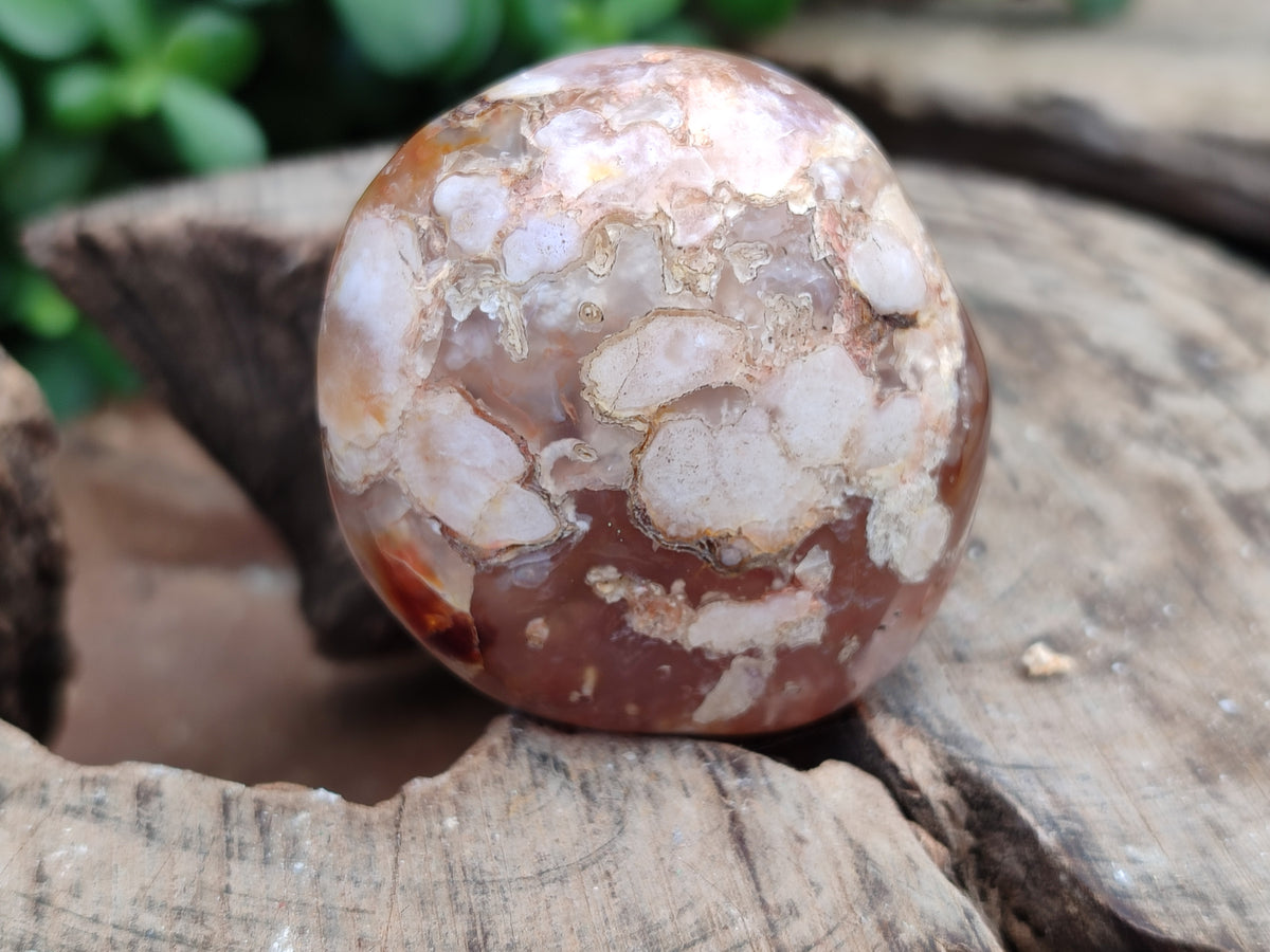 Polished Flower Agate Galet-Palm Stones x 24 From Antsahalova, Madagascar - Toprock Gemstones and Minerals 