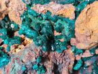 Natural Dioptase Specimen with Pseudomorph Malachite x 1 From Likasi, Congo - Toprock Gemstones and Minerals 