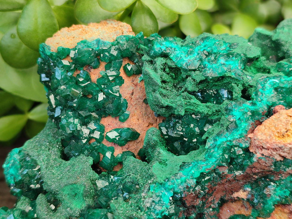 Natural Dioptase Specimen with Pseudomorph Malachite x 1 From Likasi, Congo - Toprock Gemstones and Minerals 