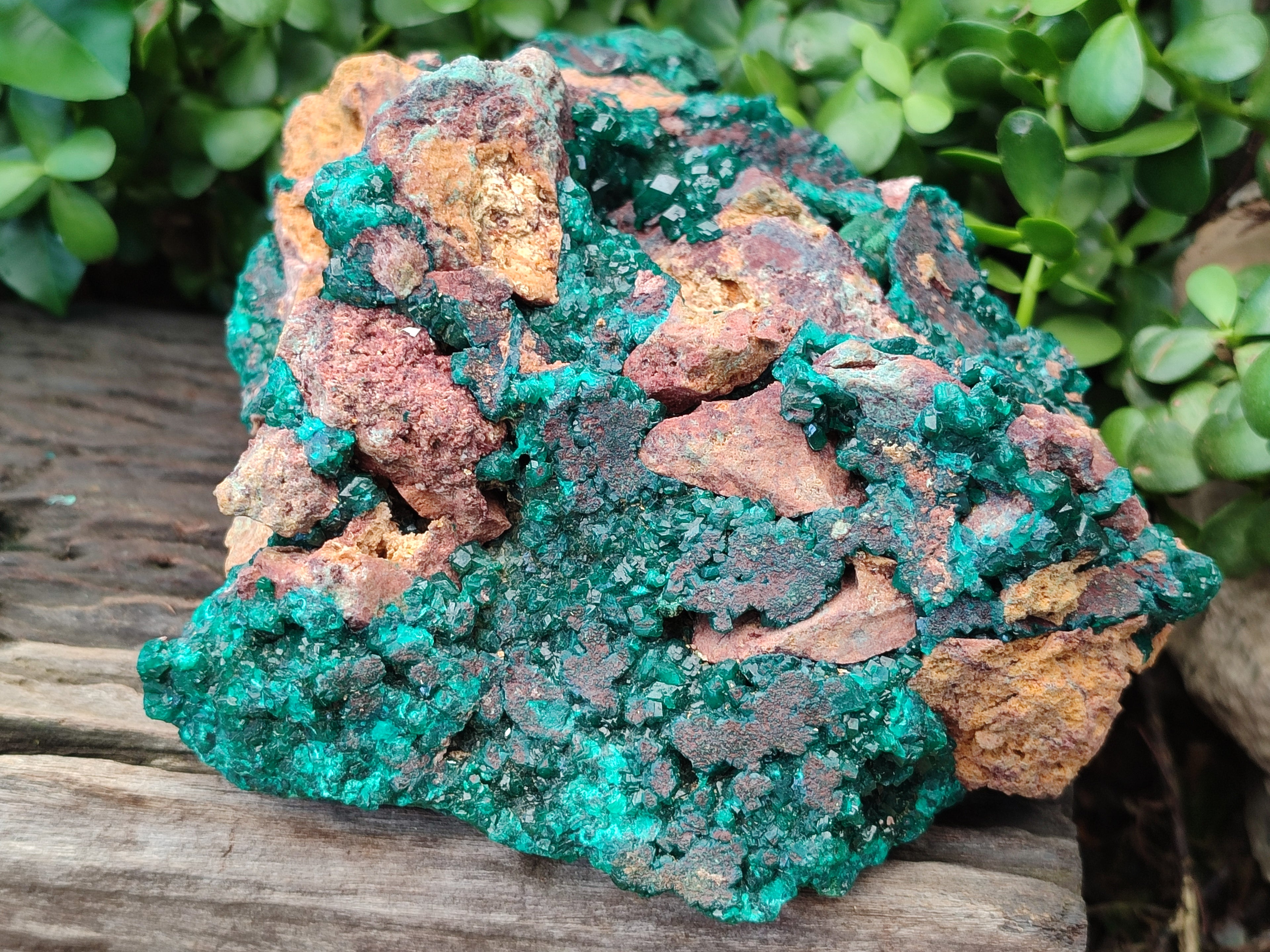 Natural Dioptase Specimen with Pseudomorph Malachite x 1 From Likasi, Congo - Toprock Gemstones and Minerals 