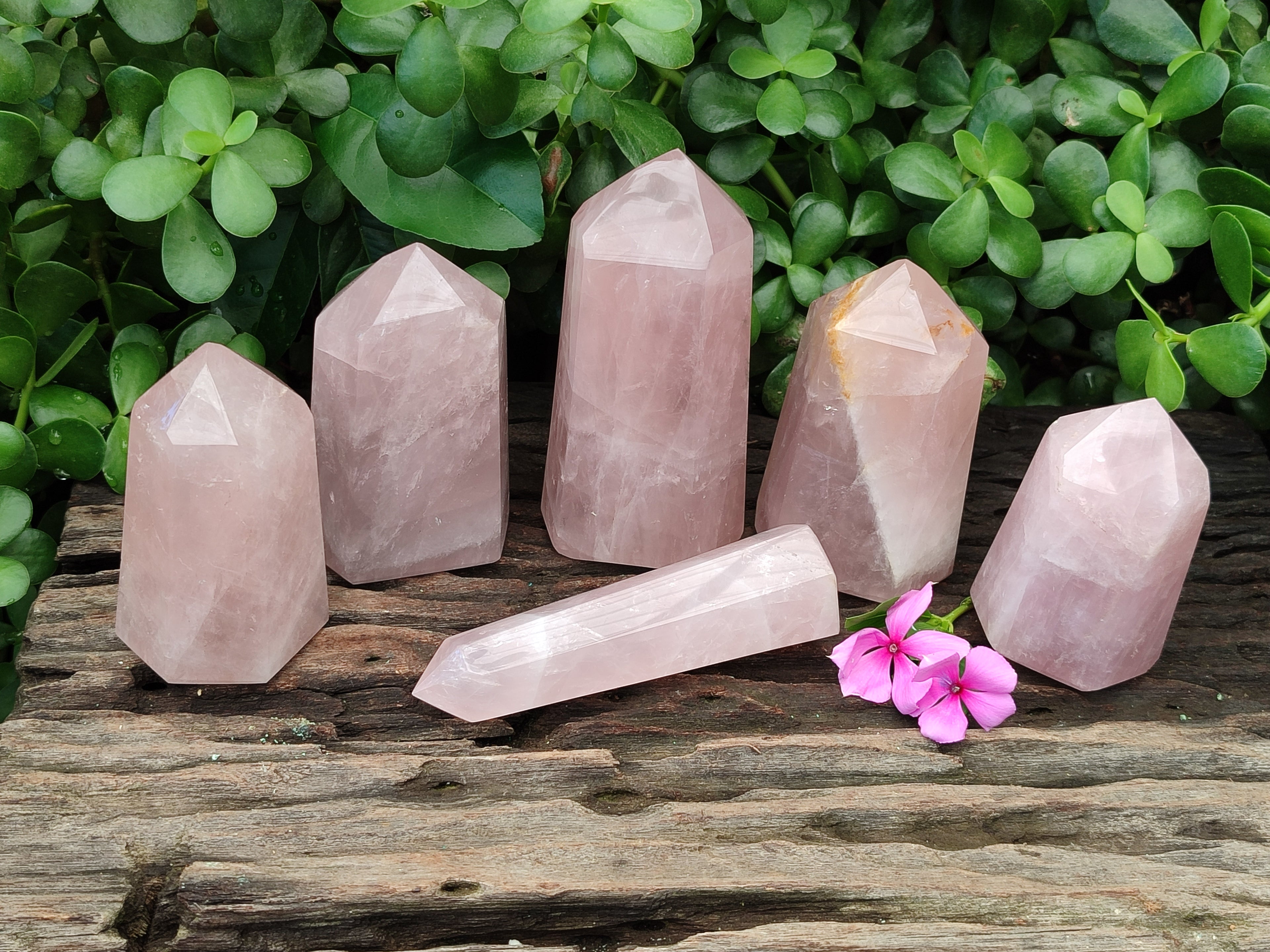 Polished Rose Quartz Points x 6 From Ambatondrazaka, Madagascar - Toprock Gemstones and Minerals 