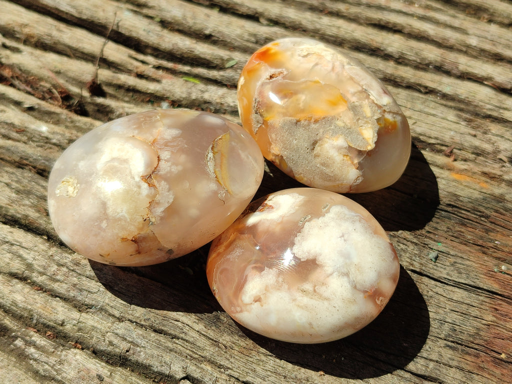 Polished Flower Agate Galet-Palm Stones x 12 From Antsahalova, Madagascar - Toprock Gemstones and Minerals 