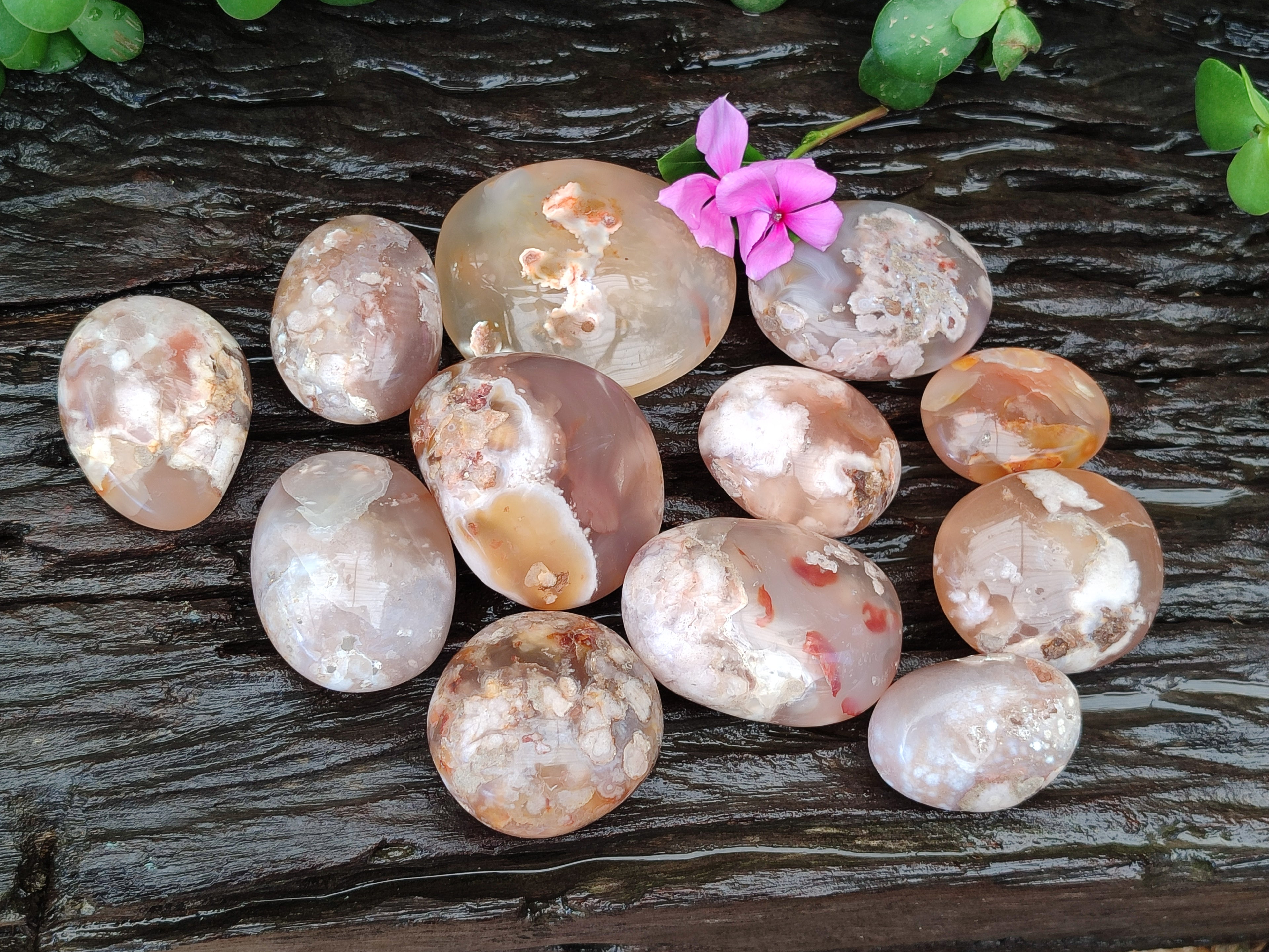 Polished Flower Agate Galet-Palm Stones x 12 From Antsahalova, Madagascar - Toprock Gemstones and Minerals 