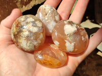 Polished Flower Agate Galet-Palm Stones x 12 From Antsahalova, Madagascar - Toprock Gemstones and Minerals 