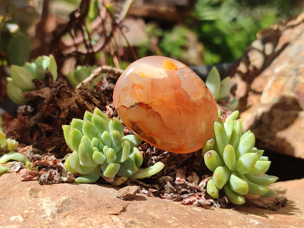 Polished Flower Agate Galet-Palm Stones x 12 From Antsahalova, Madagascar - Toprock Gemstones and Minerals 