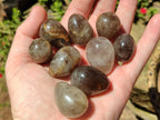 Polished Smokey Quartz Gemstone Eggs x 35 From Madagascar - Toprock Gemstones and Minerals 