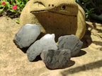 Polished On One Side Pharaoh Stone x 24 From Zimbabwe - Toprock Gemstones and Minerals 