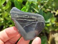 Polished On One Side Pharaoh Stone x 24 From Zimbabwe - Toprock Gemstones and Minerals 