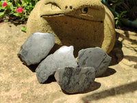 Polished On One Side Pharaoh Stone x 24 From Zimbabwe - Toprock Gemstones and Minerals 
