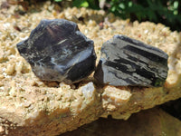 Polished On One Side Pharaoh Stone x 24 From Zimbabwe - Toprock Gemstones and Minerals 