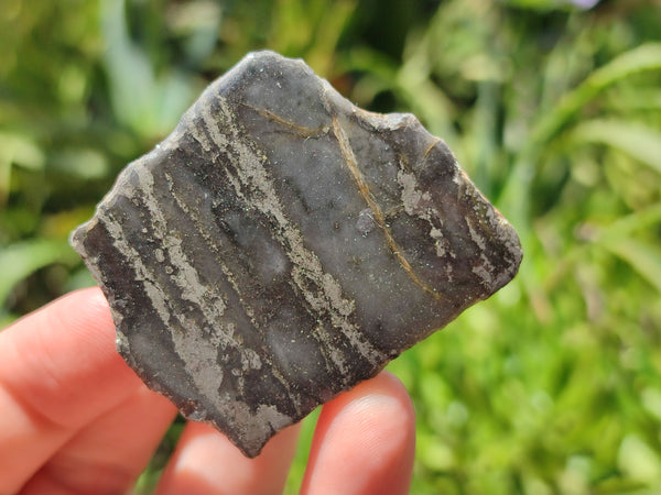 Polished On One Side Pharaoh Stone x 24 From Zimbabwe - Toprock Gemstones and Minerals 