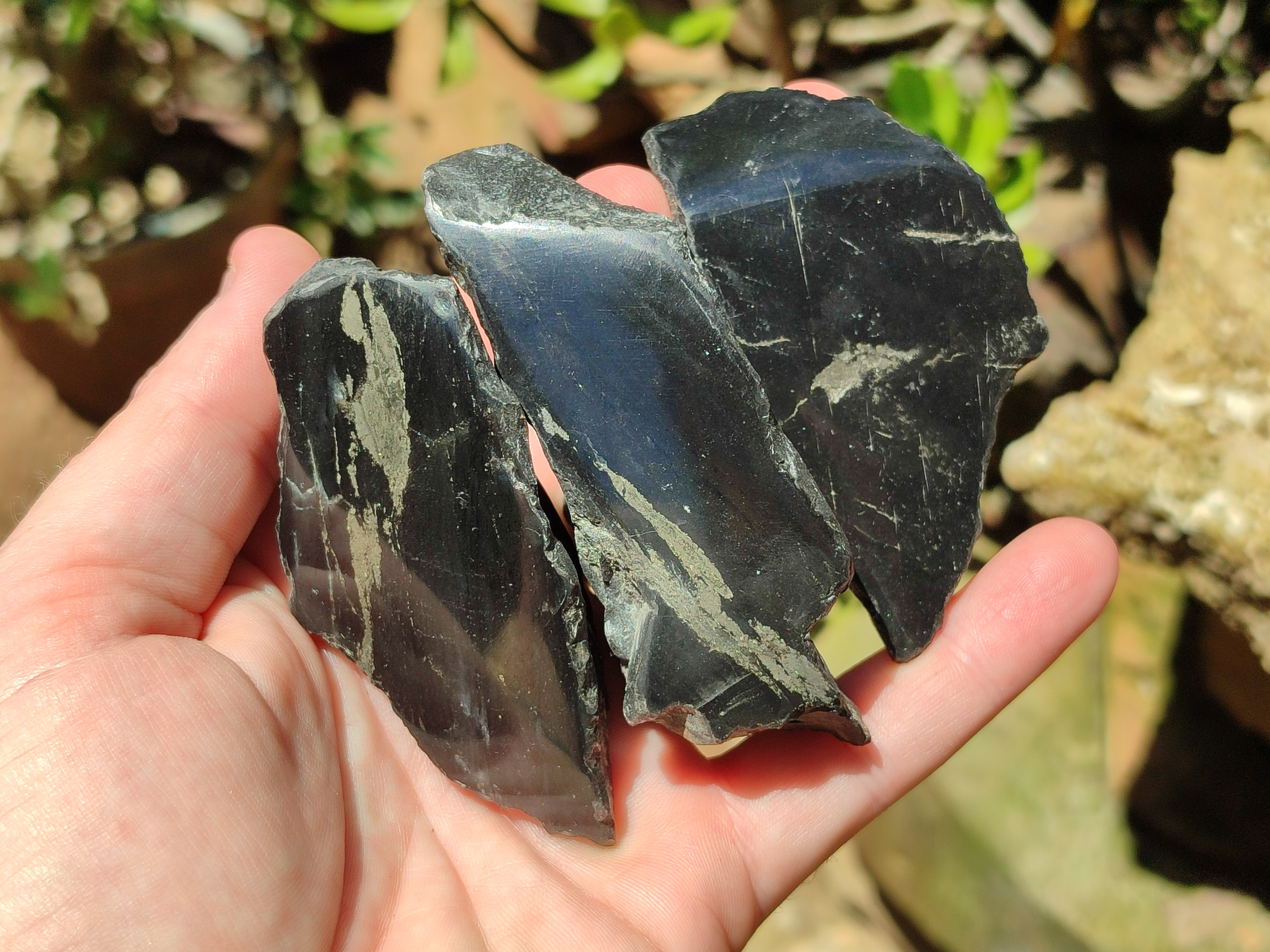 Polished On One Side Pharaoh Stone x 24 From Zimbabwe - Toprock Gemstones and Minerals 