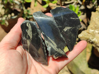 Polished On One Side Pharaoh Stone x 24 From Zimbabwe - Toprock Gemstones and Minerals 