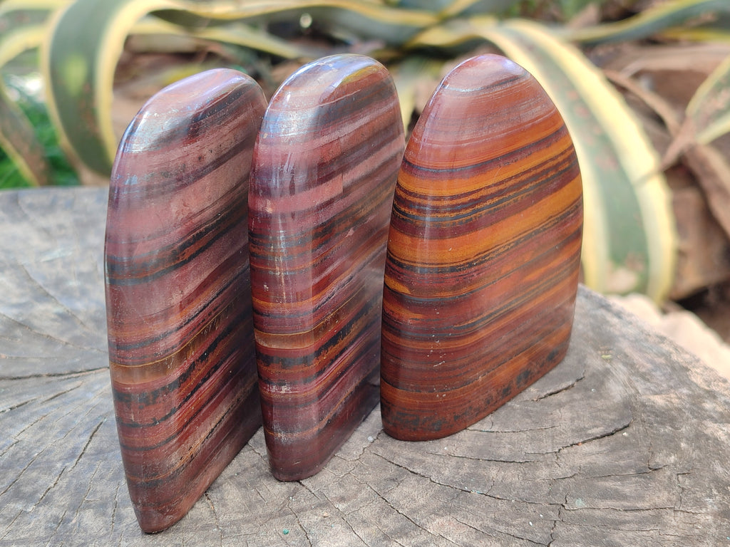 Polished Banded Tiger Iron / Muggle Stone Standing Free Forms x 3 From Northern Cape, South Africa - Toprock Gemstones and Minerals 