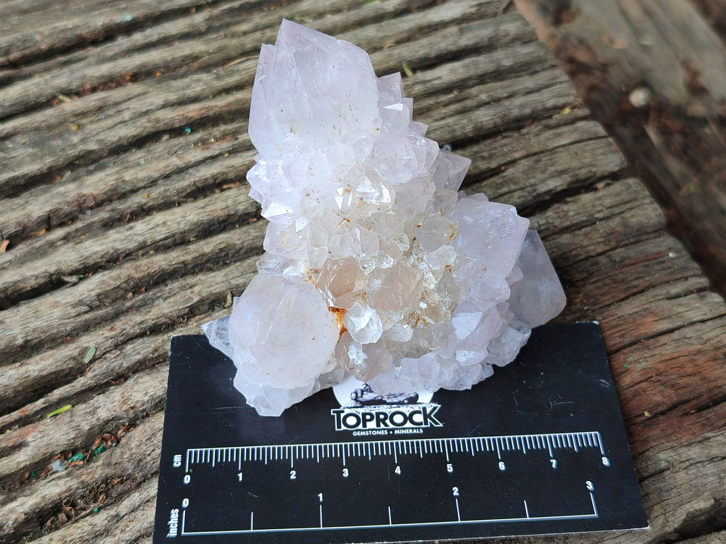 Natural Spirit Quartz Clusters x 6 From Boekenhouthoek, South Africa - Toprock Gemstones and Minerals 