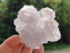 Natural Spirit Quartz Clusters x 6 From Boekenhouthoek, South Africa - Toprock Gemstones and Minerals 