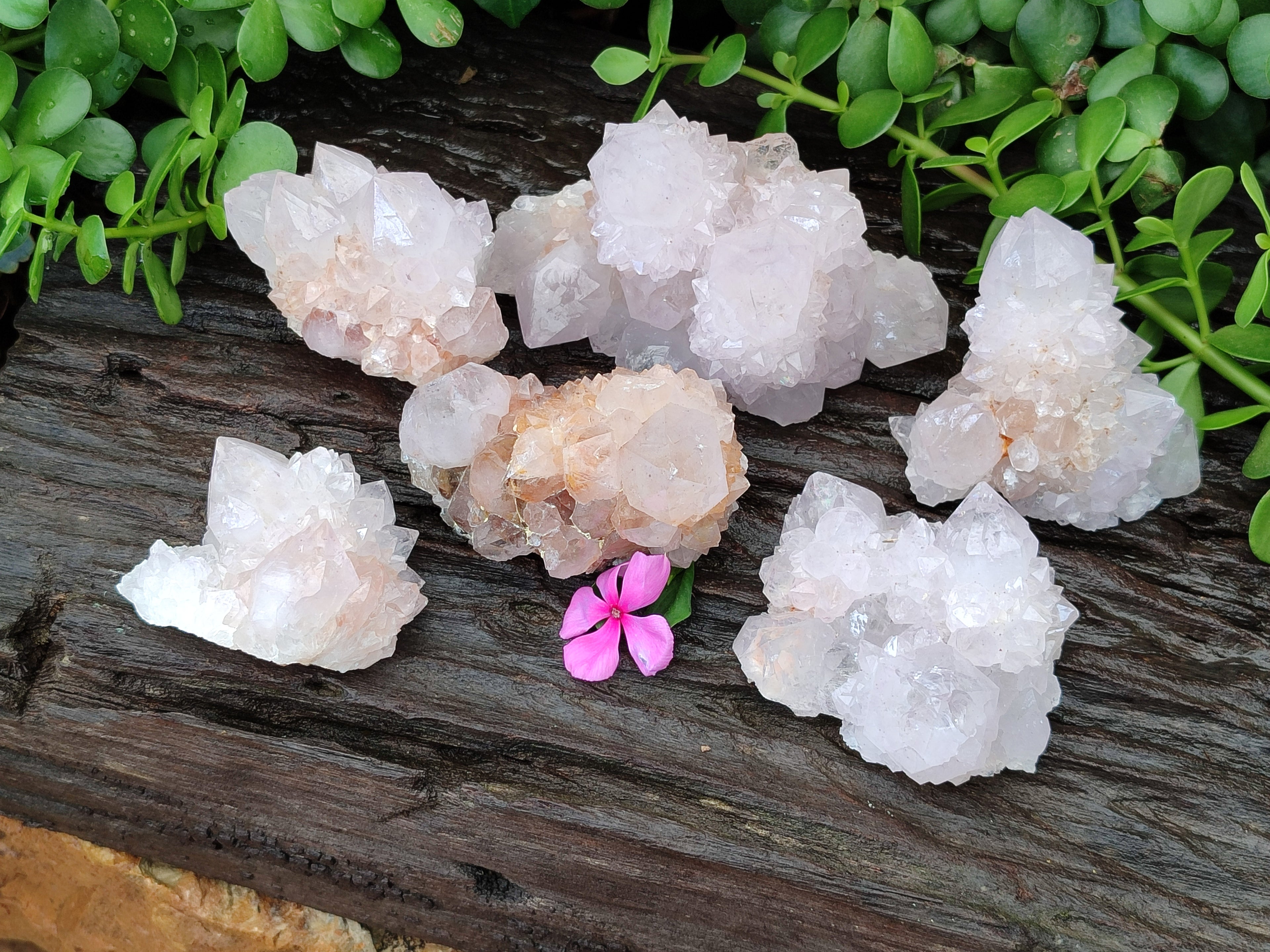 Natural Spirit Quartz Clusters x 6 From Boekenhouthoek, South Africa - Toprock Gemstones and Minerals 